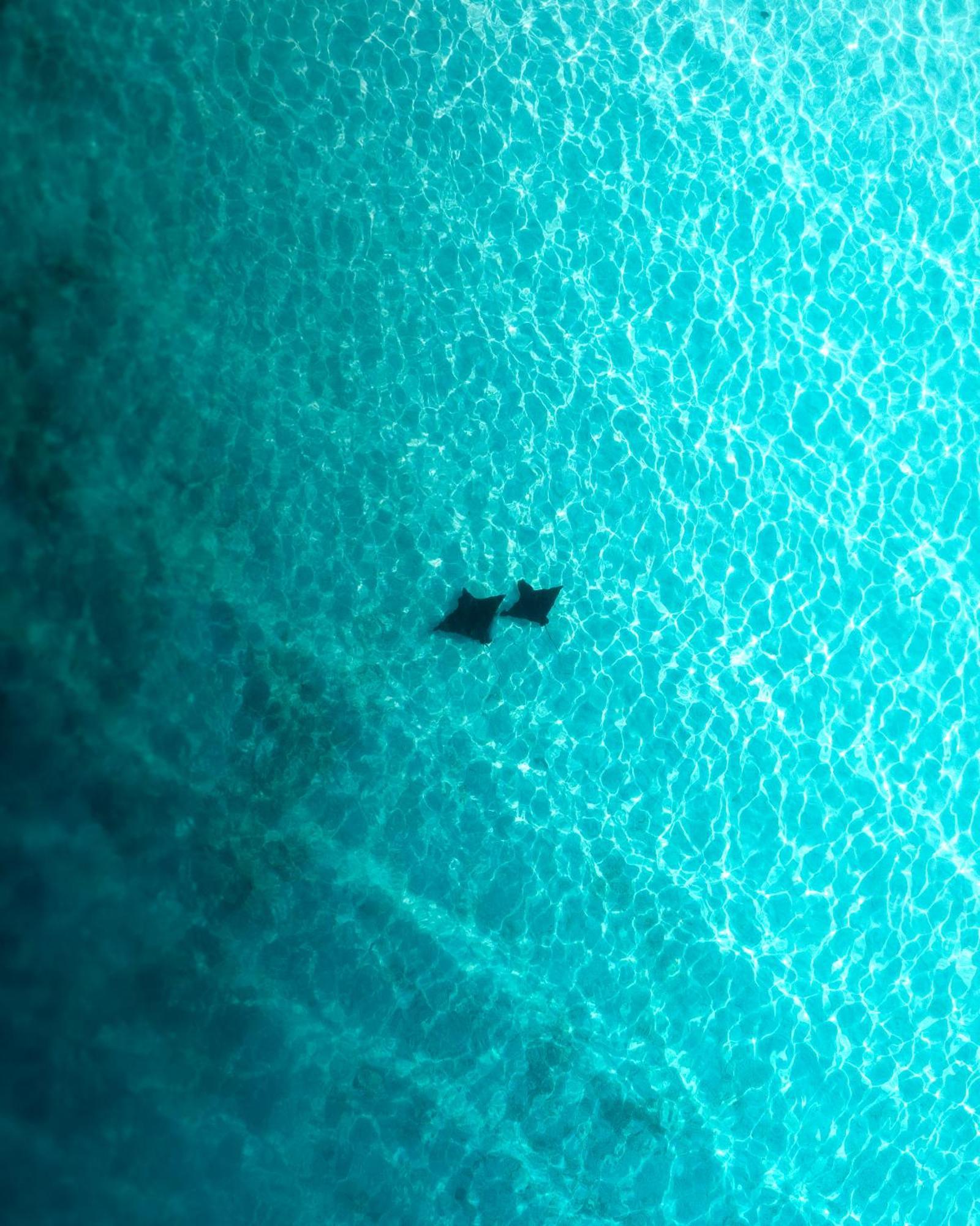 Отель Ocean Pearl Maldives At Gulhi Island Экстерьер фото